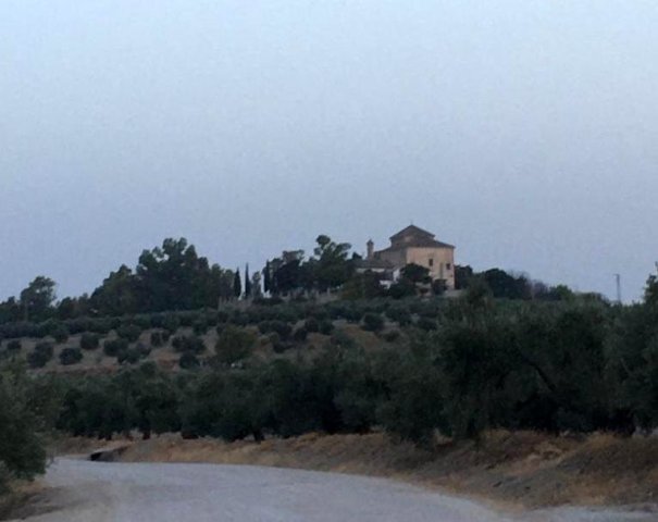Vista paisajista (12)